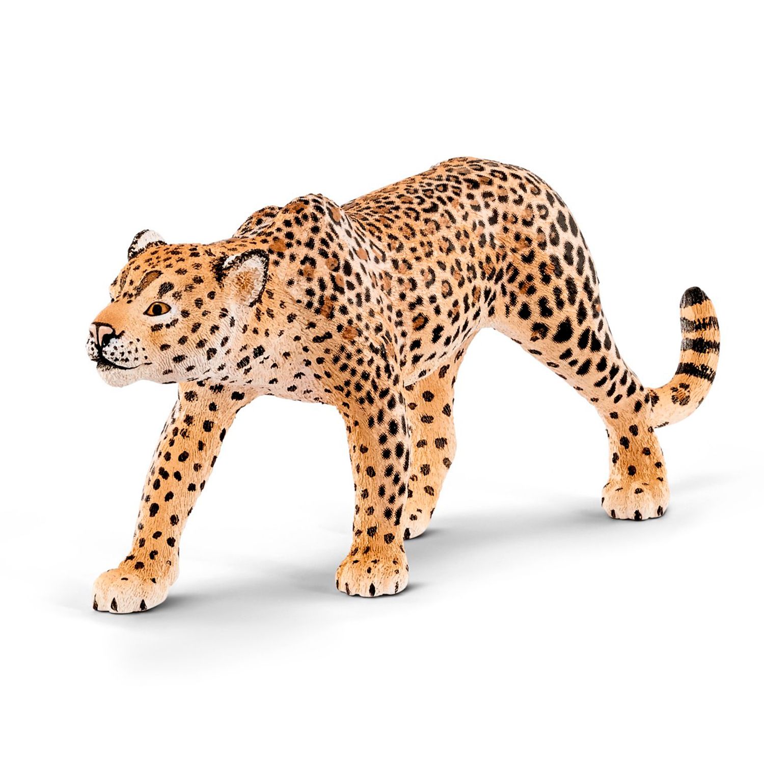 Игрушки фигурки. 14748 Schleich леопард. Шляйх леопард. Фигурка Schleich леопард 14748. Фигурка Collecta Амурский леопард 88708.